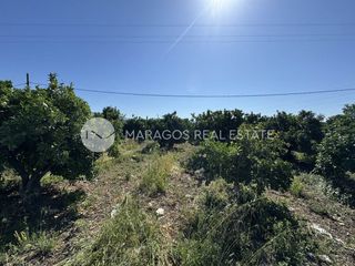 Οικόπεδο 10.000 τ.μ. για πώληση, Αργολίδα, Άργος-thumb-2