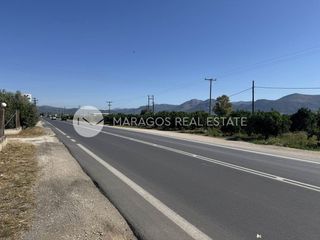 Οικόπεδο 10.000 τ.μ. για πώληση, Αργολίδα, Άργος-thumb-7