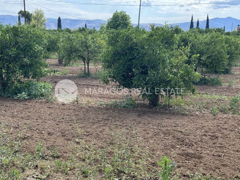 Οικόπεδο 560 τ.μ. προς πώληση, Πυργέλλα