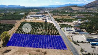 Οικόπεδο 4.000 τ.μ. για πώληση