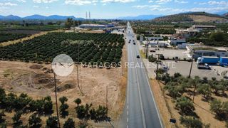 Οικόπεδο 4.000 τ.μ. για πώληση, Αργολίδα, Άργος-thumb-10