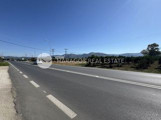 Οικόπεδο 4.000 τ.μ. για πώληση, Αργολίδα, Άργος-thumb-18