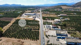 Οικόπεδο 4.000 τ.μ. για πώληση, Αργολίδα, Άργος-thumb-12