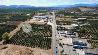 Οικόπεδο 4.000 τ.μ. για πώληση, Αργολίδα, Άργος-thumb-11