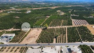 Οικόπεδο 4.000 τ.μ. για πώληση, Αργολίδα, Άργος-thumb-19