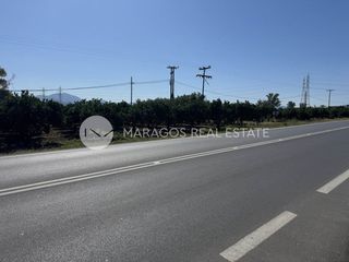 Οικόπεδο 4.000 τ.μ. για πώληση, Αργολίδα, Άργος-thumb-16