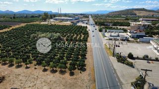 Οικόπεδο 4.000 τ.μ. για πώληση, Αργολίδα, Άργος-thumb-5