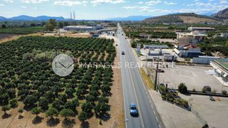 Οικόπεδο 4.000 τ.μ. για πώληση, Αργολίδα, Άργος-thumb-4