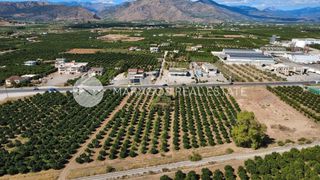 Οικόπεδο 4.000 τ.μ. για πώληση, Αργολίδα, Άργος-thumb-13