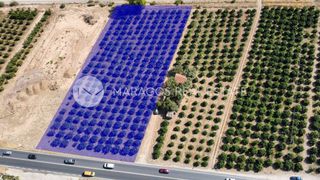 Οικόπεδο 4.000 τ.μ. για πώληση, Αργολίδα, Άργος-thumb-1
