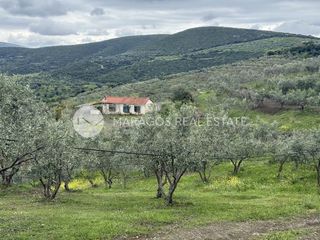Αγροτεμάχια 58.000 τ.μ. για πώληση