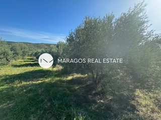 Αγροτεμάχια 78.628,05 τ.μ. για πώληση
