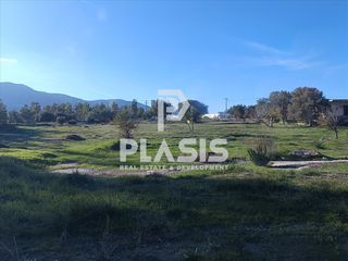 Οικόπεδο 3.100 τ.μ. για πώληση