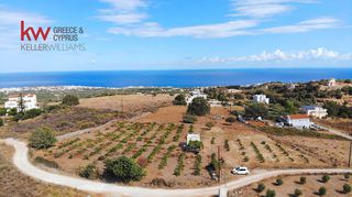 Οικόπεδο 4.819 τ.μ. για πώληση