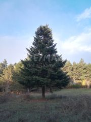Άλλο 120 τ.μ. για πώληση, Ν. Λάρισας, Καρυά-thumb-12