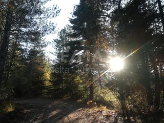 Άλλο 120 τ.μ. για πώληση, Ν. Λάρισας, Καρυά-thumb-19