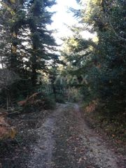Άλλο 120 τ.μ. για πώληση, Ν. Λάρισας, Καρυά-thumb-15