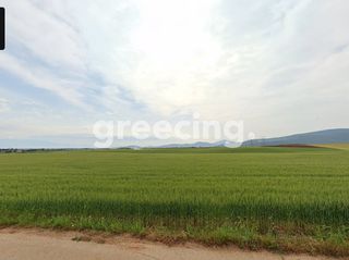 Αγροτεμάχια 500.000 τ.μ. για πώληση