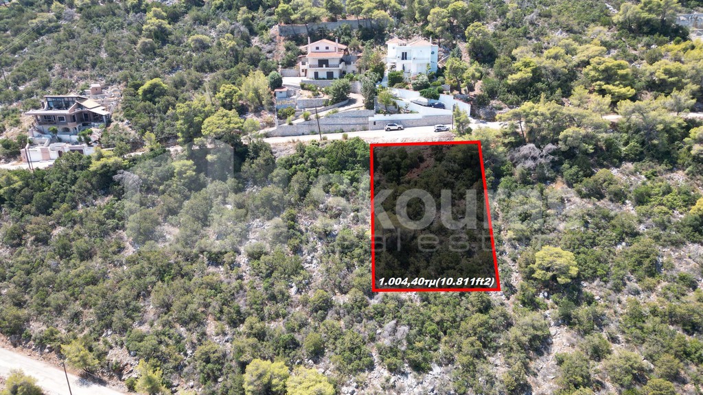 Οικόπεδο 1.004 τ.μ. προς πώληση, Πευκάλι