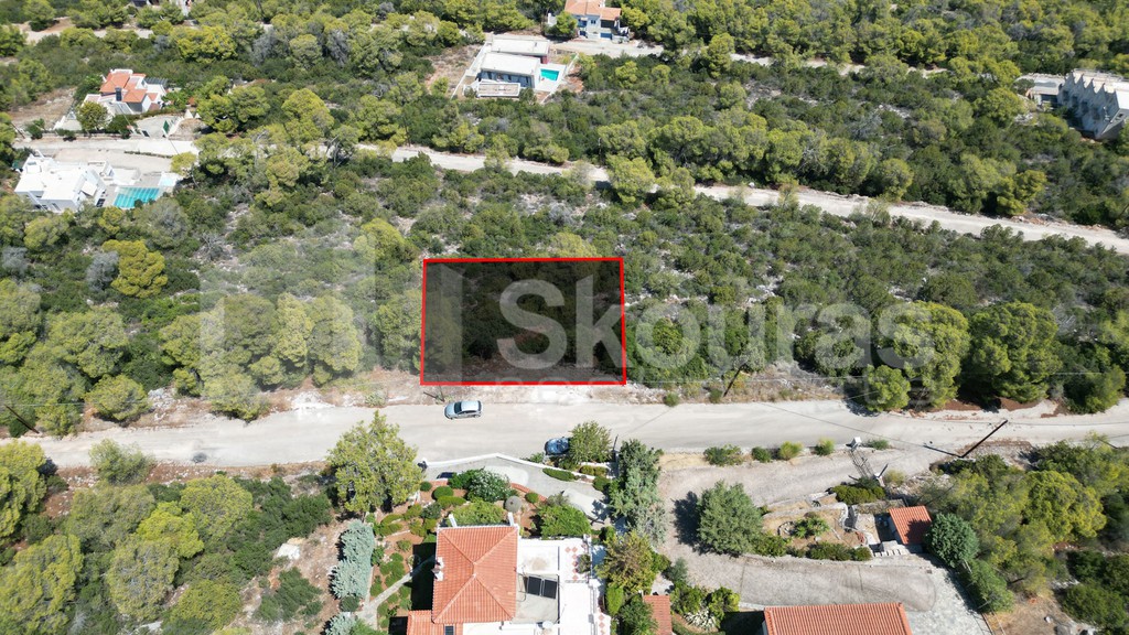 Οικόπεδο 1.004 τ.μ. προς πώληση, Πευκάλι