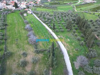 Αγροτεμάχια 3.861,57 τ.μ. για πώληση, Αργολίδα, Μυκήνες-thumb-10