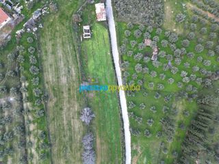 Αγροτεμάχια 3.861,57 τ.μ. για πώληση, Αργολίδα, Μυκήνες-thumb-5