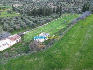 Αγροτεμάχια 3.861,57 τ.μ. για πώληση, Αργολίδα, Μυκήνες-thumb-17