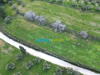Αγροτεμάχια 3.861,57 τ.μ. για πώληση, Αργολίδα, Μυκήνες-thumb-7