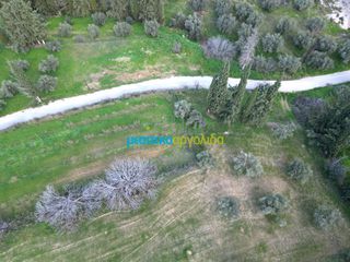 Αγροτεμάχια 3.861,57 τ.μ. για πώληση, Αργολίδα, Μυκήνες-thumb-13