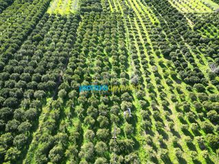 Αγροτεμάχια 7.000 τ.μ. για πώληση, Αργολίδα, Μυκήνες-thumb-8