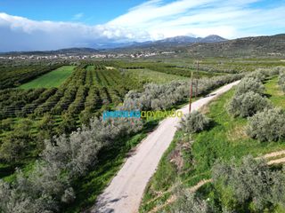 Αγροτεμάχια 7.000 τ.μ. για πώληση, Αργολίδα, Μυκήνες-thumb-20