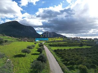 Αγροτεμάχια 7.000 τ.μ. για πώληση, Αργολίδα, Μυκήνες-thumb-21