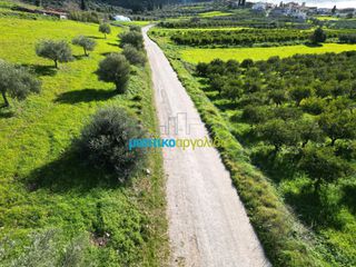 Αγροτεμάχια 7.000 τ.μ. για πώληση, Αργολίδα, Μυκήνες-thumb-6