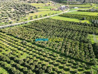 Αγροτεμάχια 7.000 τ.μ. για πώληση, Αργολίδα, Μυκήνες-thumb-14