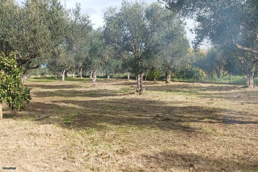 Αγροτεμάχια 1.900 τ.μ. πρός πώληση, Αχαΐα, Δυτικής Αχαΐας