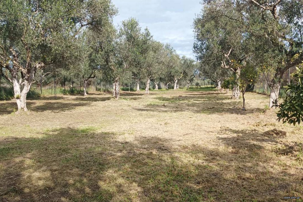 Αγροτεμάχια 1.900 τ.μ. πρός πώληση, Αχαΐα, Δυτικής Αχαΐας