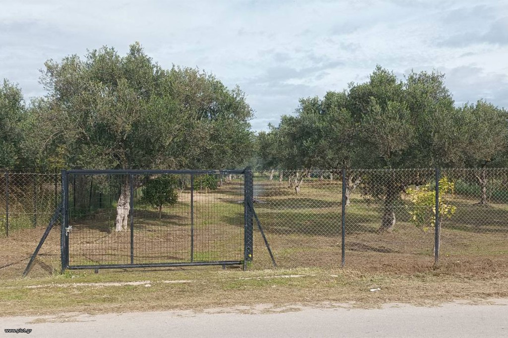 Αγροτεμάχια 1.900 τ.μ. πρός πώληση, Αχαΐα, Δυτικής Αχαΐας
