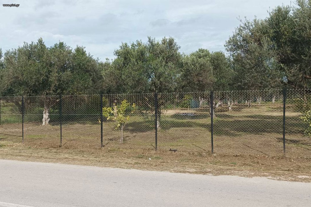 Αγροτεμάχια 1.900 τ.μ. πρός πώληση, Αχαΐα, Δυτικής Αχαΐας