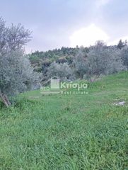 Αγροτεμάχια 2.681 τ.μ. για πώληση