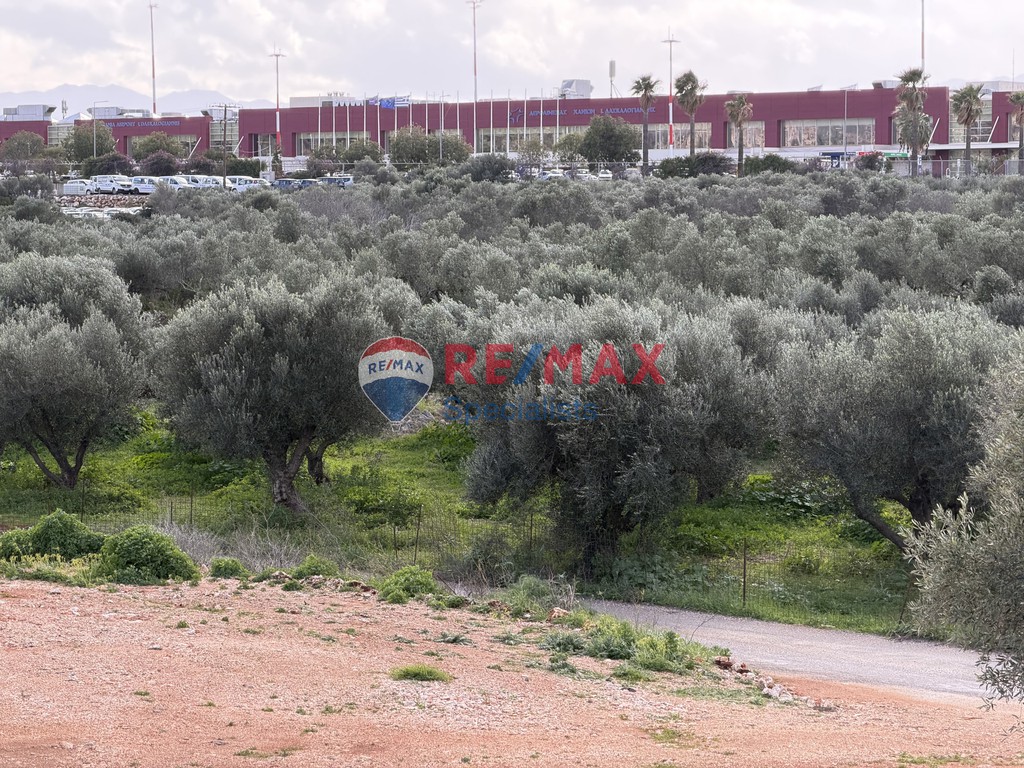 Οικόπεδο 4.000 τ.μ. πρός ενοικίαση, Ν. Χανίων, Ακρωτήρι