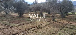 Οικόπεδο 4.180 τ.μ. για πώληση, Εύβοια, Ανθηδώνος-thumb-8