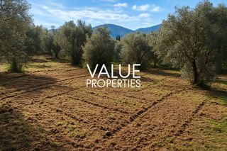 Οικόπεδο 4.180 τ.μ. για πώληση, Εύβοια, Ανθηδώνος-thumb-1