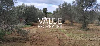 Οικόπεδο 4.180 τ.μ. για πώληση, Εύβοια, Ανθηδώνος-thumb-13