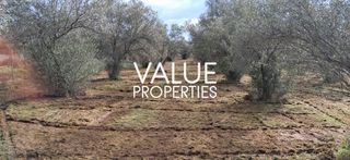 Οικόπεδο 4.180 τ.μ. για πώληση, Εύβοια, Ανθηδώνος-thumb-9