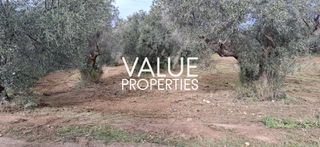 Οικόπεδο 4.180 τ.μ. για πώληση, Εύβοια, Ανθηδώνος-thumb-5