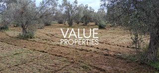 Οικόπεδο 4.180 τ.μ. για πώληση, Εύβοια, Ανθηδώνος-thumb-11