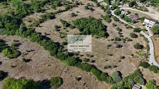 Οικόπεδο 13.000 τ.μ. για πώληση, Ν. Κέρκυρας, Κέρκυρα-thumb-5