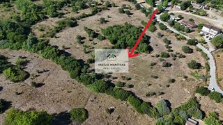 Οικόπεδο 13.000 τ.μ. για πώληση, Ν. Κέρκυρας, Κέρκυρα-thumb-4
