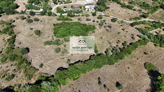 Οικόπεδο 13.000 τ.μ. για πώληση, Ν. Κέρκυρας, Κέρκυρα-thumb-6