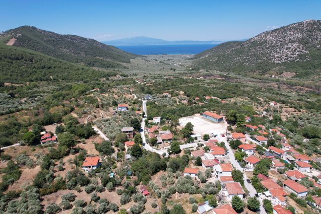 Αγροτεμάχια 1.577 τ.μ. για πώληση, Ν. Καβάλας, Θάσος